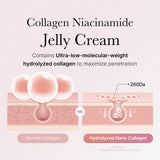 Collagen Jelly Cream : collagène hydrolysé ultra-basse masse moléculaire